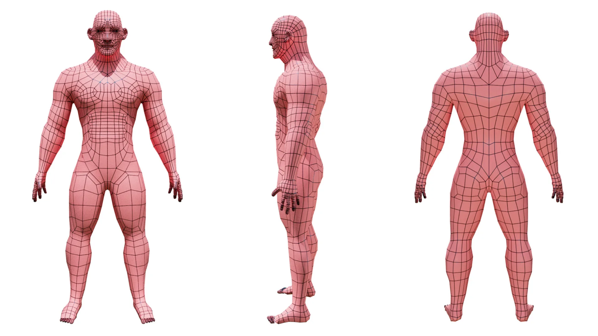 3D anatomical topology reference of the Hojo Era character from front, side, and back.