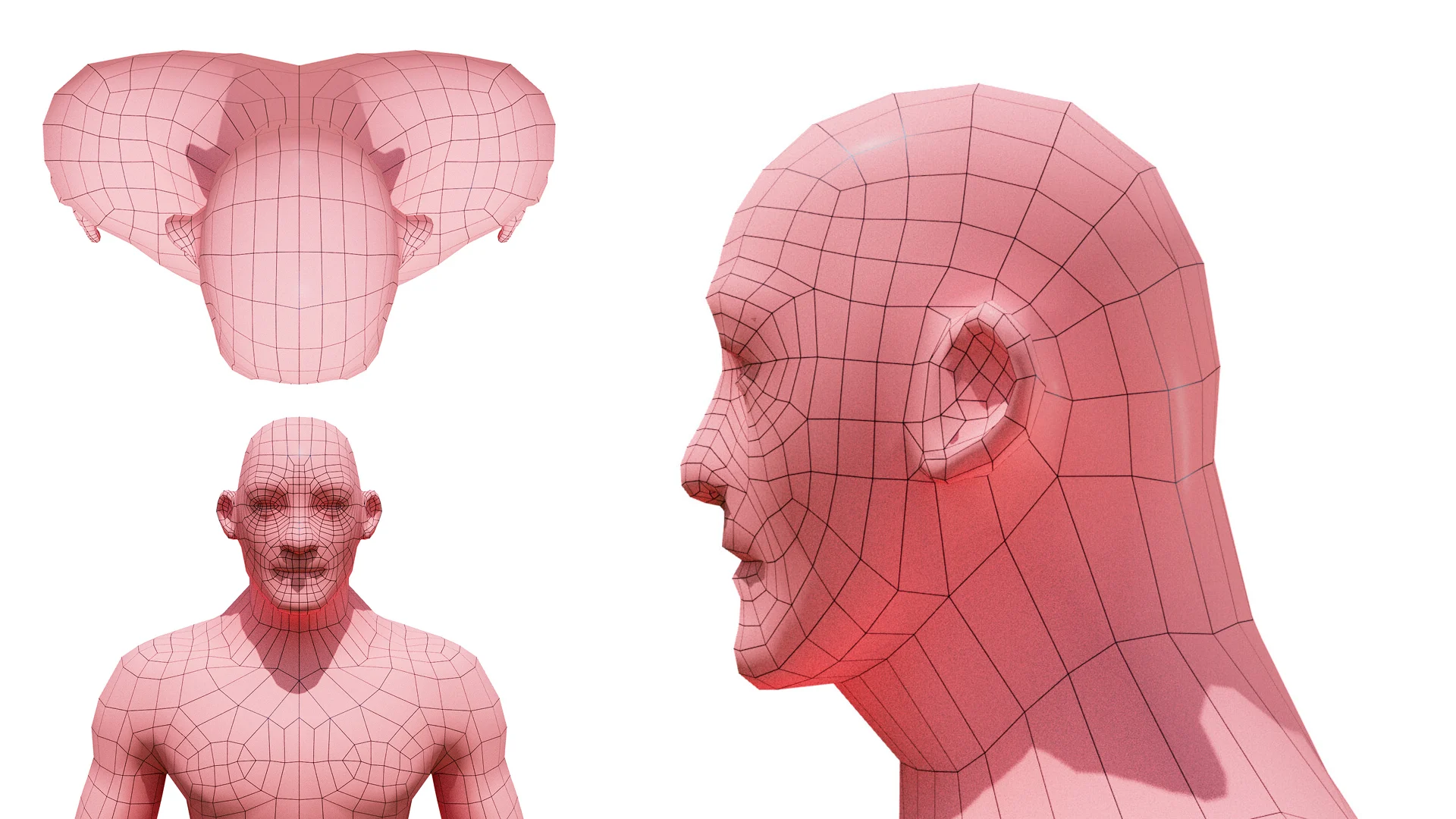 Professional 3D head topology and facial edge loops of Hojo Era character in Maya.